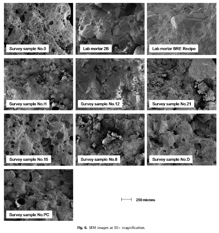 SEM images of mortars at 50× magnification